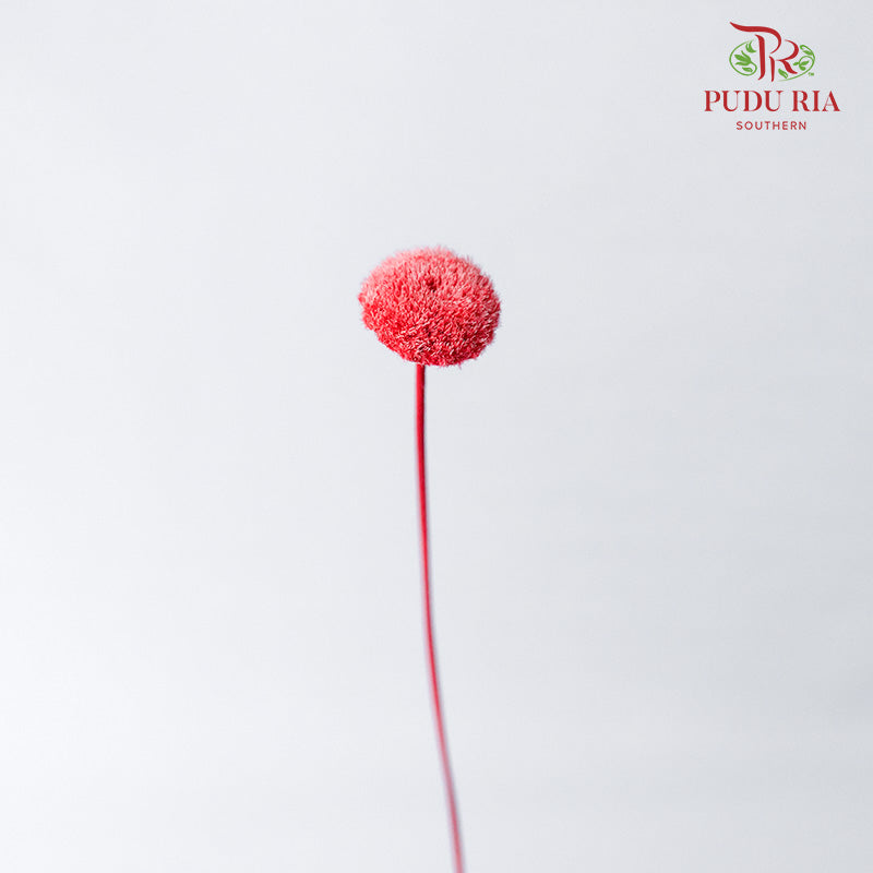 Dry Botao Happy Pink - Offer Item - Pudu Ria Florist Southern