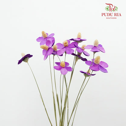 Dry Violet - Purple - Pudu Ria Florist Southern