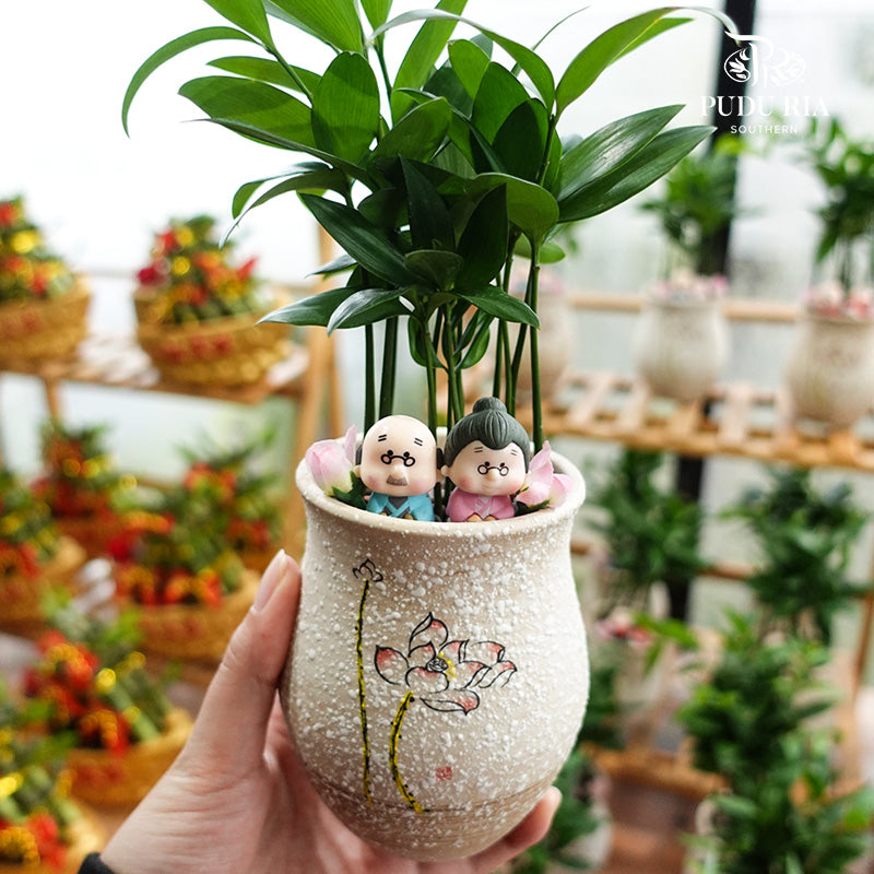 Couple In The Forest 小丛林夫妻 / Per Pot - Pudu Ria Florist Southern