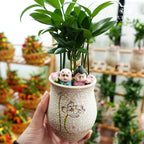 Couple In The Forest 小丛林夫妻 / Per Pot - Pudu Ria Florist Southern