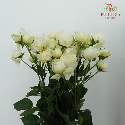 Rose Spray Julietta Limonchello (6 Stems) - Pudu Ria Florist Southern