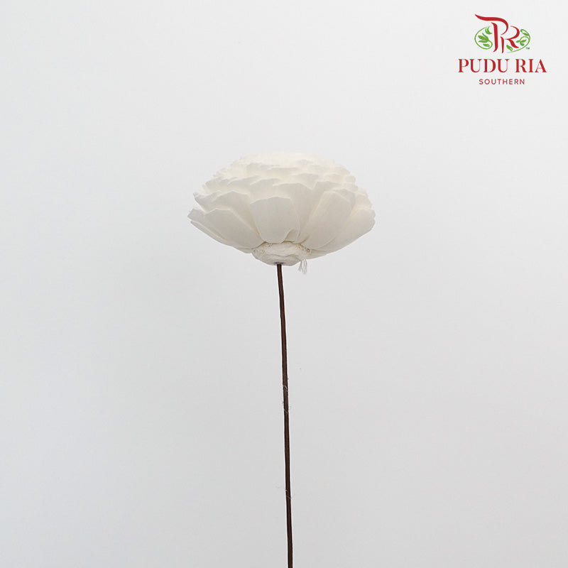 Dry Aeschynomene (Big) - White - Pudu Ria Florist Southern