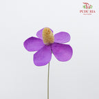 Dry Violet - Purple - Pudu Ria Florist Southern