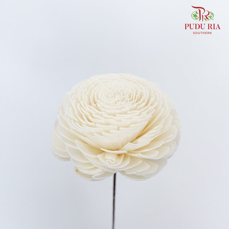 Dry Aeschynomene (Big) - White - Pudu Ria Florist Southern