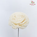 Dry Aeschynomene (Big) - White - Pudu Ria Florist Southern