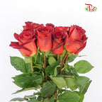 Rose Coffe Break   (8-10 Stems) - Pudu Ria Florist Southern