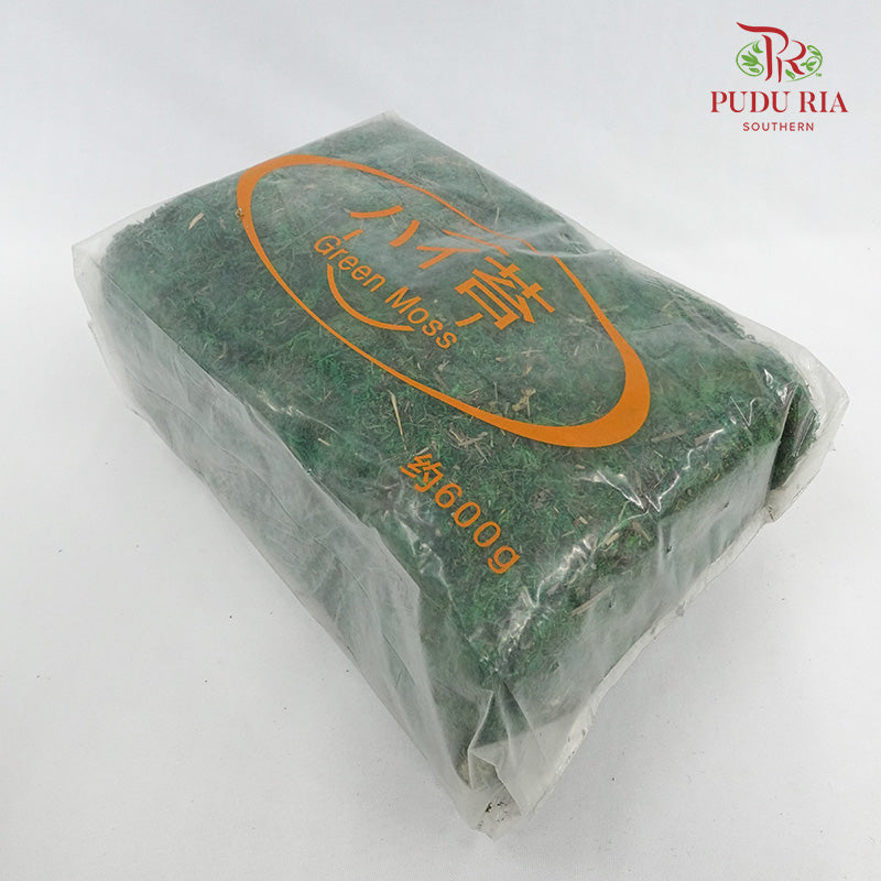 Dried Green Moss - Pudu Ria Florist Southern