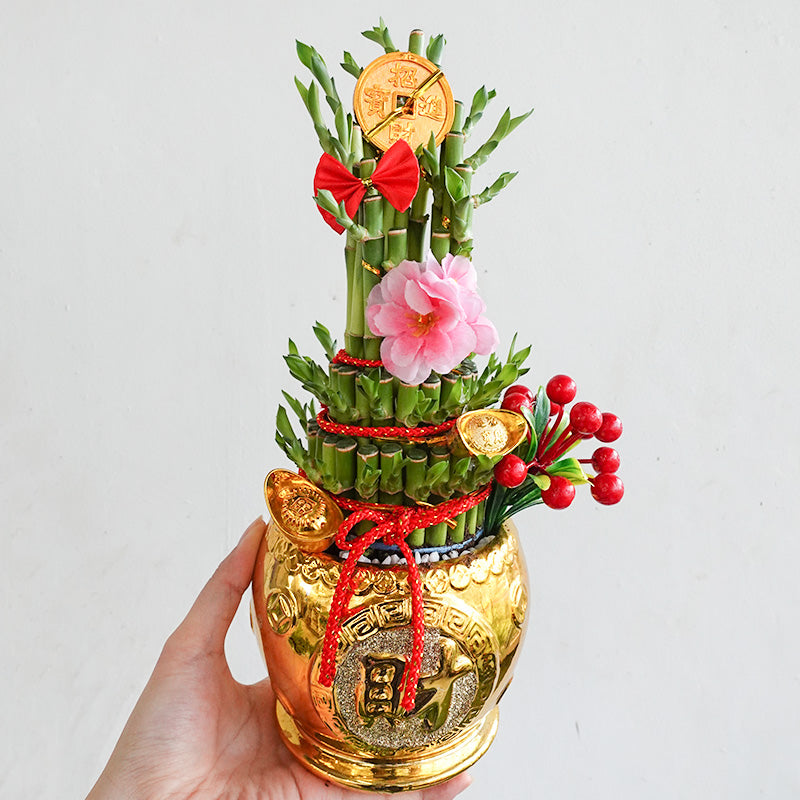CNY Pot Plant Arrangement 步步高升 - Pudu Ria Florist Southern