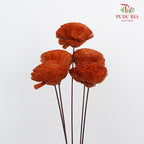 Dry Aeschynomene (Big) - Dark Brown - Pudu Ria Florist Southern