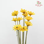 Dry Happy Flower - Yellow - Pudu Ria Florist Southern