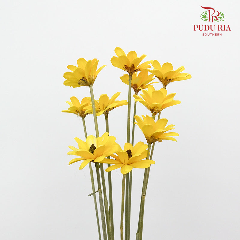 Dry Happy Flower - Yellow - Pudu Ria Florist Southern