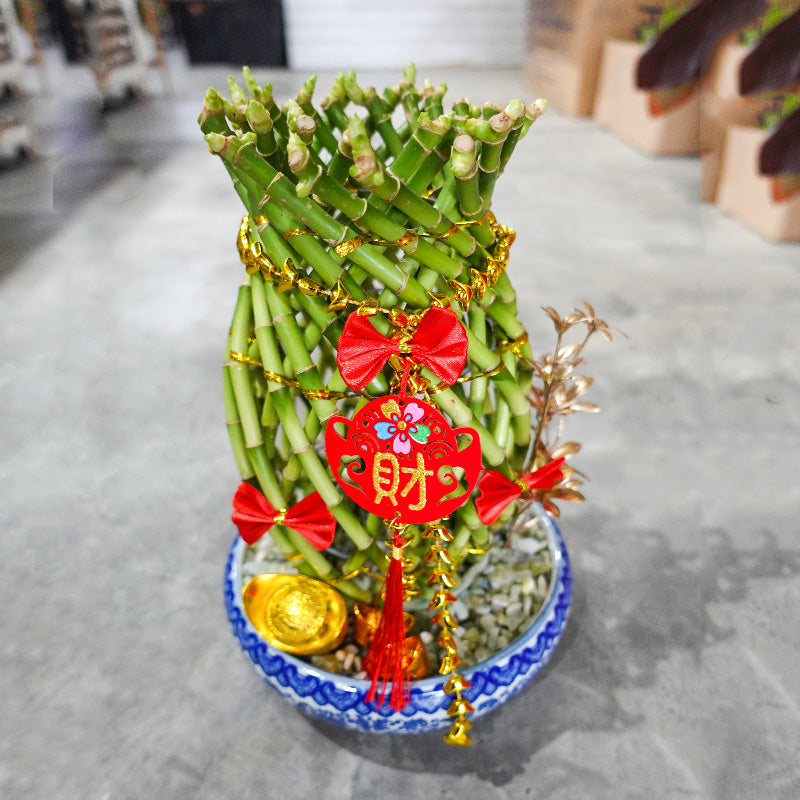 CNY Pot Plant Arrangement 猪笼入水#1 - Pudu Ria Florist Southern