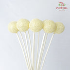 Promotion Accessories Yellow - Offer Item - Pudu Ria Florist Southern