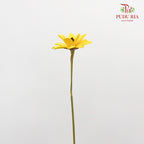Dry Happy Flower - Yellow - Pudu Ria Florist Southern