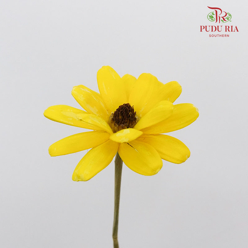 Dry Happy Flower - Yellow - Pudu Ria Florist Southern