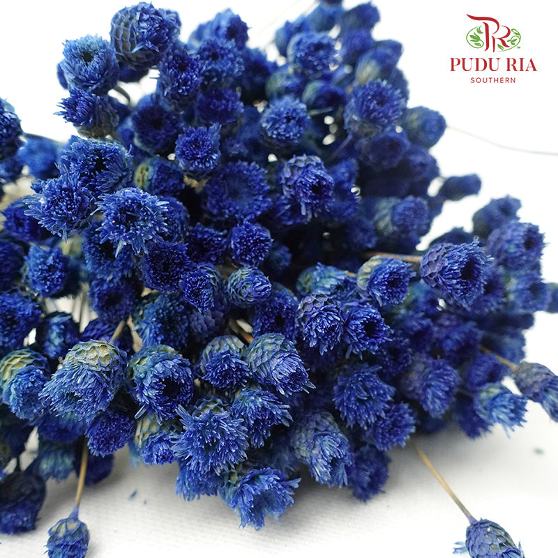 Dry Botao Happy Blue - Offer Item - Pudu Ria Florist Southern