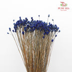 Dry Botao Happy Blue - Offer Item - Pudu Ria Florist Southern