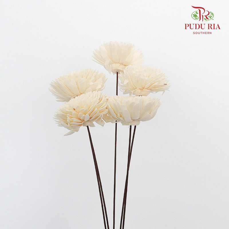 Dry Sola Wood Chrysanthemum - White - Pudu Ria Florist Southern