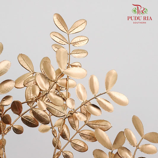 Gold Eucalyptus Leaf (2 stems) - Pudu Ria Florist Southern