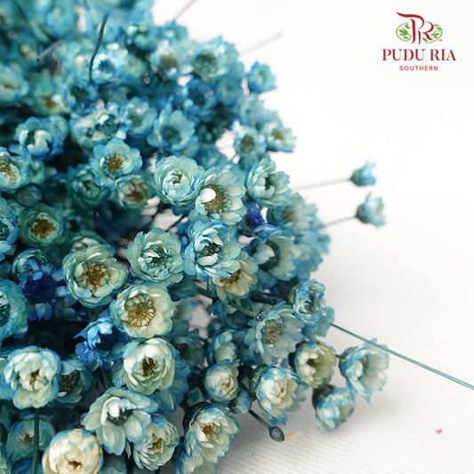 Dry Star Flower Soft Blue - Offer Item - Pudu Ria Florist Southern