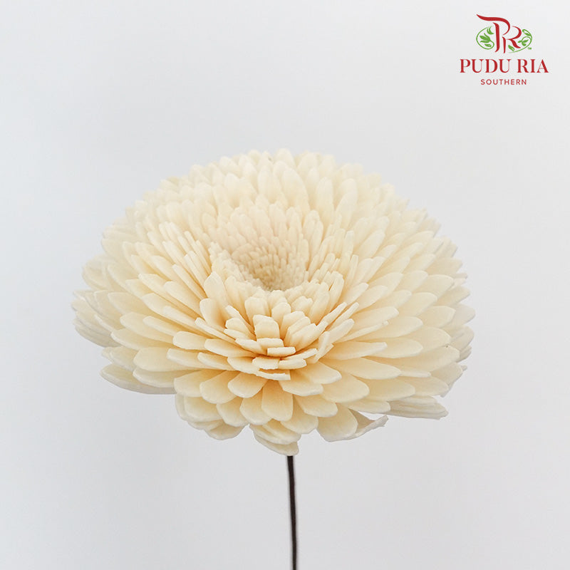Dry Sola Wood Chrysanthemum - White - Pudu Ria Florist Southern