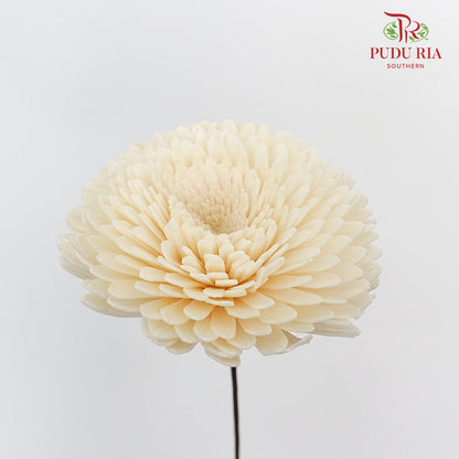 Dry Sola Wood Chrysanthemum - White - Pudu Ria Florist Southern