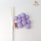 Promotion Accessories Purple - Offer Item - Pudu Ria Florist Southern