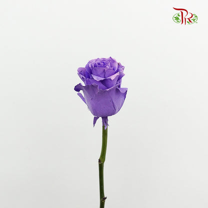 Rose Lavender (8-10 Stems) - Pudu Ria Florist Southern