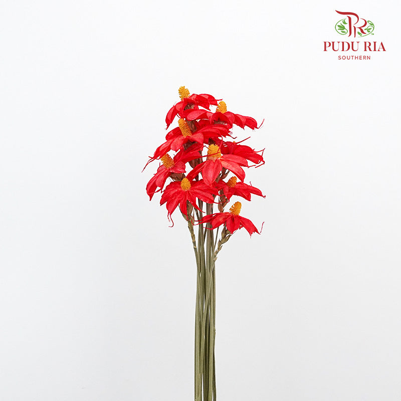 Dry Sapphire Red - Pudu Ria Florist Southern