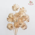 Gold Eucalyptus Leaf (2 stems) - Pudu Ria Florist Southern