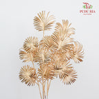 Gold Eucalyptus Leaf (2 stems) - Pudu Ria Florist Southern