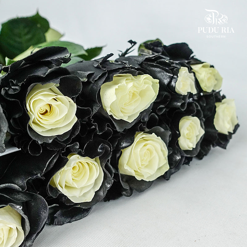 Rose Black Edge (8-10 Stems) - Pudu Ria Florist Southern