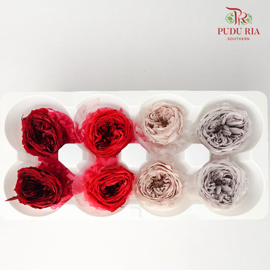 Preservative Rose Temari - Mixed Color (8 Blooms) - Pudu Ria Florist Southern