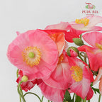 Corn Poppy - Pudu Ria Florist Southern