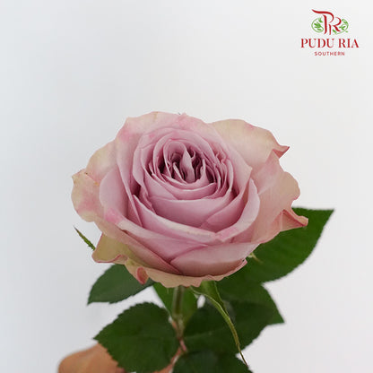 Rose Cosette (8-10 Stems) - Pudu Ria Florist Southern