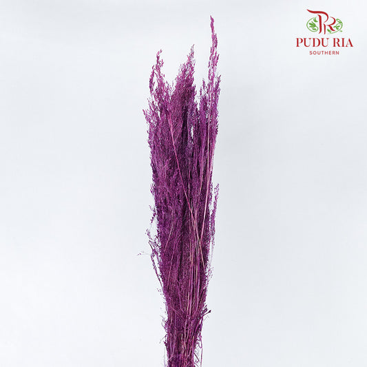 Dry Agrostis Purple - Offer Item - Pudu Ria Florist Southern