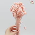 Preservative Helichrysum Crispum - Pink - Pudu Ria Florist Southern