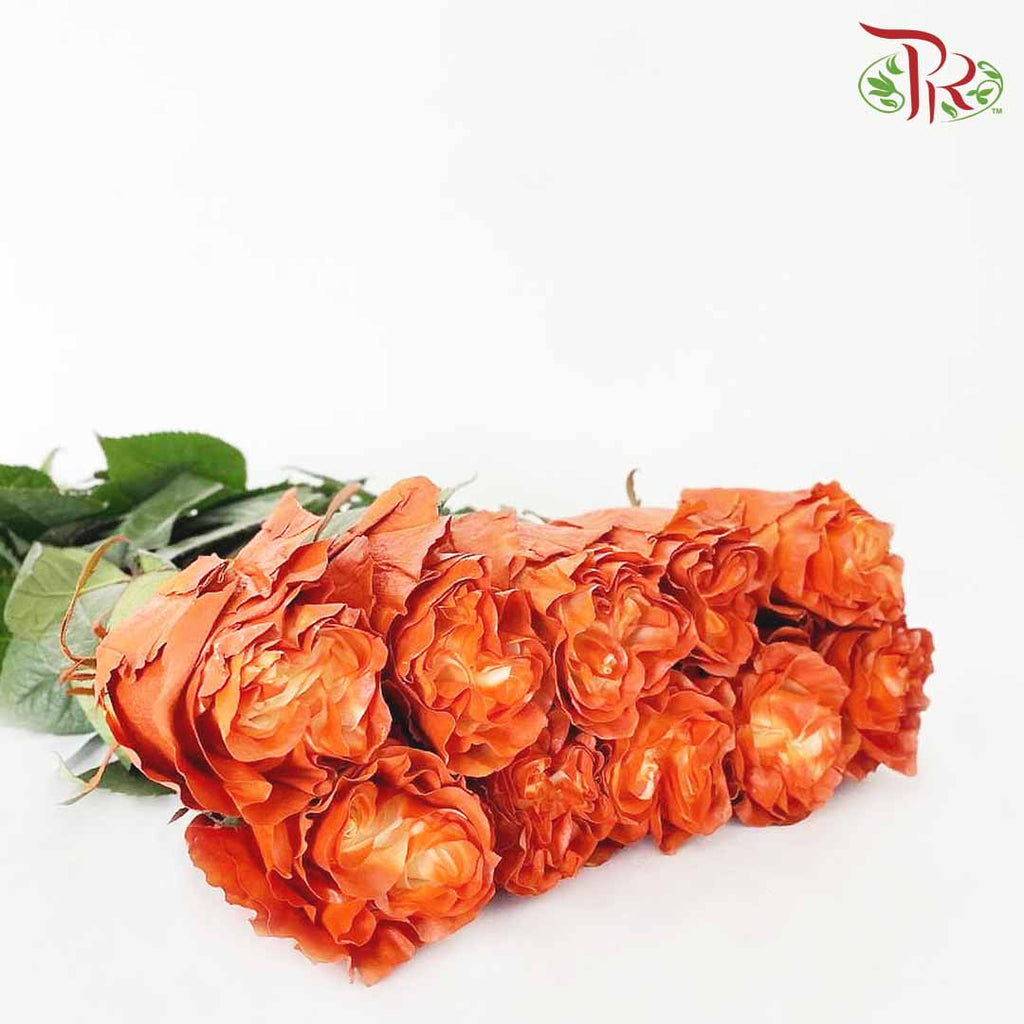 Rose Brig (8-10 Stems) - Pudu Ria Florist Southern