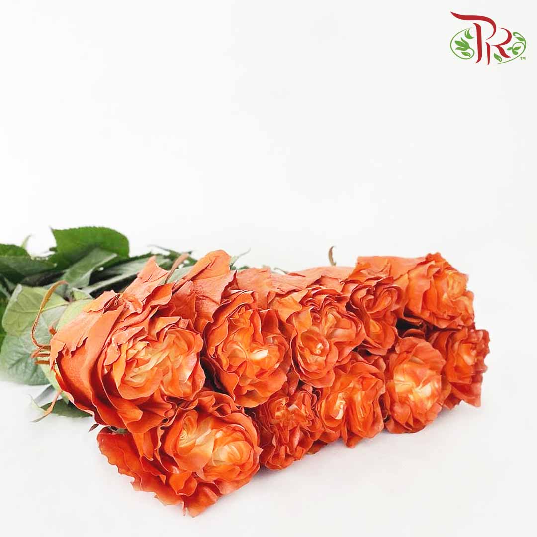 Rose Brig (8-10 Stems) - Pudu Ria Florist Southern