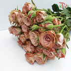 Rose Spray Premium Cappuccino (8-10 Stems) - Pudu Ria Florist Southern