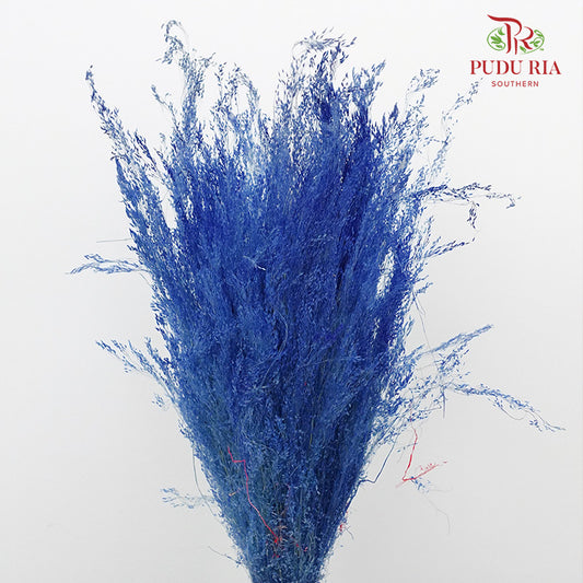 Dry Agrostis Blue - Offer Item - Pudu Ria Florist Southern