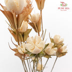 Dry Pistachio Nut - Natural - Pudu Ria Florist Southern