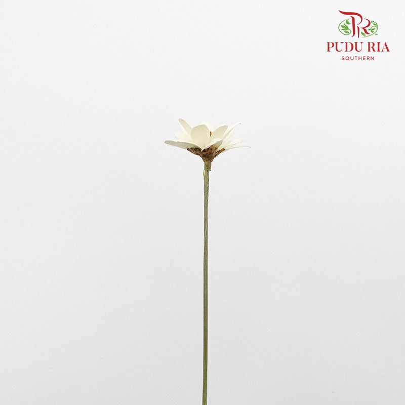 Dry Happy Flower - White - Pudu Ria Florist Southern