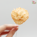 Preservative Sola Chiffon Carnation - Orange - Pudu Ria Florist Southern