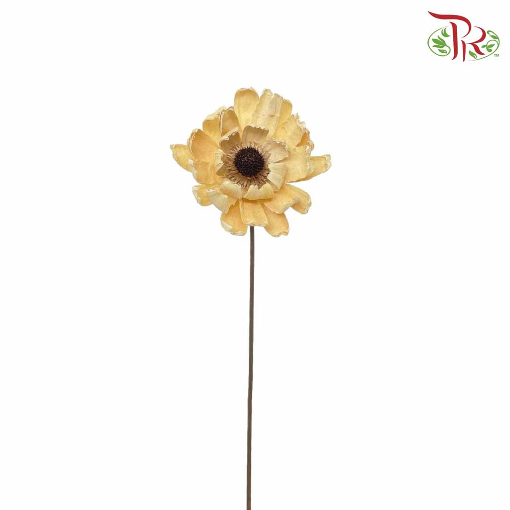 Dry Lingjian Lotus -Natural - Pudu Ria Florist Southern