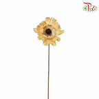 Dry Lingjian Lotus -Natural - Pudu Ria Florist Southern