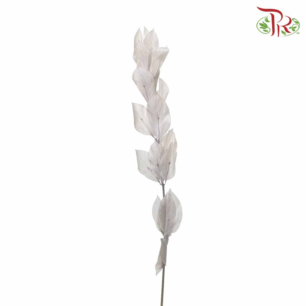 Dry Orange Leaf - White - Pudu Ria Florist Southern