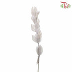 Dry Orange Leaf - White - Pudu Ria Florist Southern