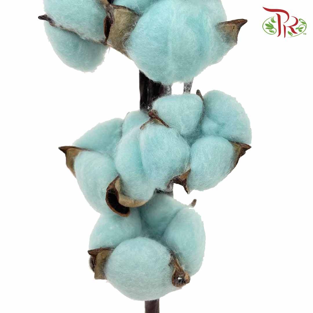 Cotton Flower Dyed Colour - Blue