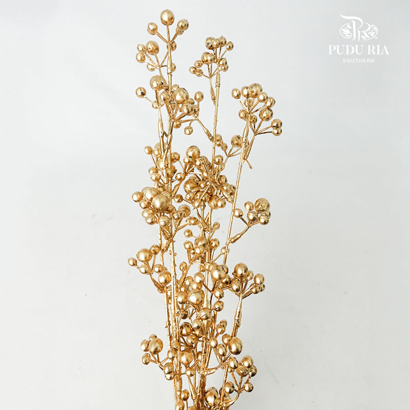 Gold Eucalyptus Leaf (2 stems) - Pudu Ria Florist Southern